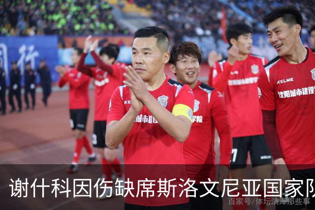 谢什科因伤缺席斯洛文尼亚国家队比赛