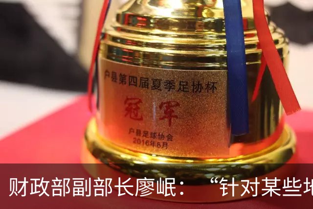 财政部副部长廖岷：“针对某些地方政府违规出台税费优惠、返税引税问题，动真碰硬、严肃处理，坚决不搞税收政策的‘洼地’”