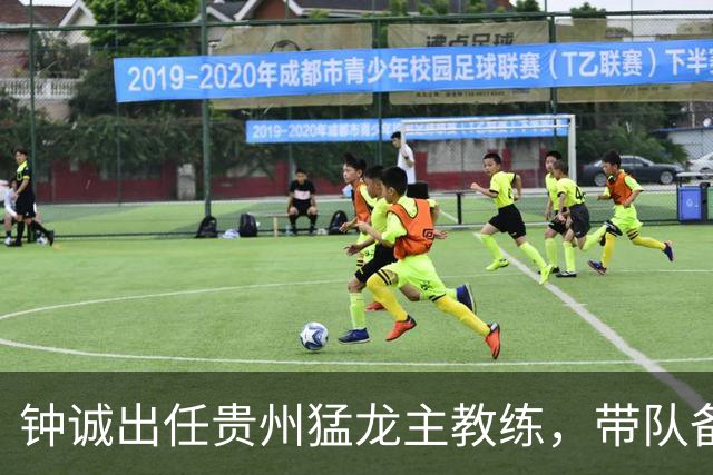 钟诚出任贵州猛龙主教练，带队备战新赛季