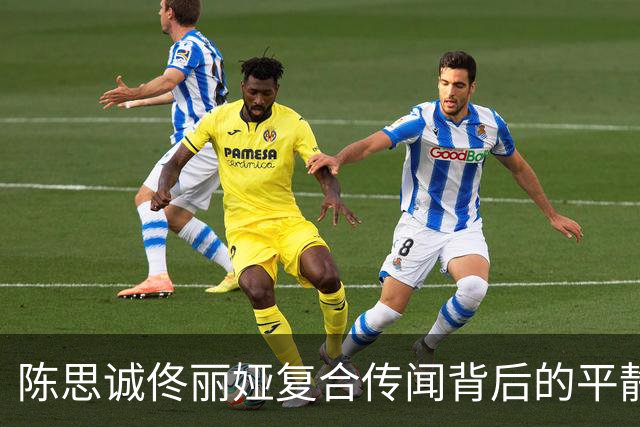 陈思诚佟丽娅复合传闻背后的平静相处