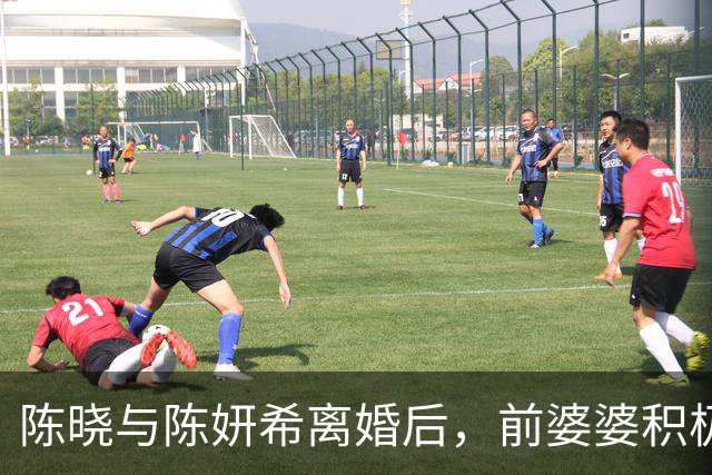 陈晓与陈妍希离婚后，前婆婆积极参与带娃引发热议