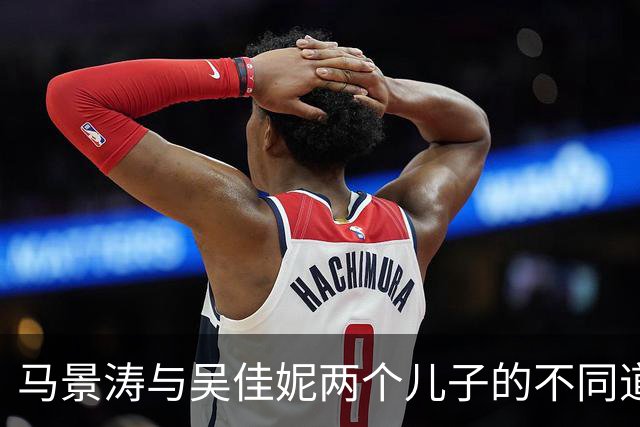 马景涛与吴佳妮两个儿子的不同道路