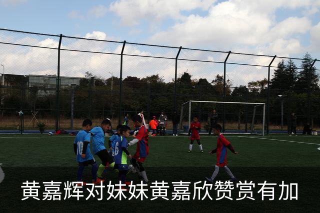 黄嘉辉对妹妹黄嘉欣赞赏有加