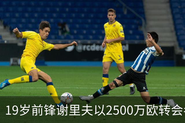 19岁前锋谢里夫以2500万欧转会考文垂