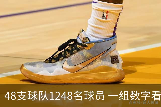 48支球队1248名球员 一组数字看懂美加墨世界杯