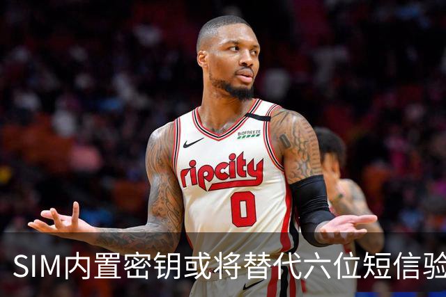 SIM内置密钥或将替代六位短信验证码